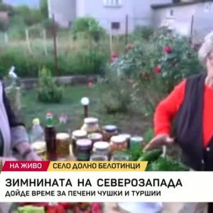 Снимка: Зимнината на Северозапада