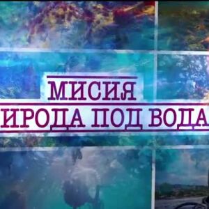 Снимка: bTV Репортерите: Мисия "Природа под вода"