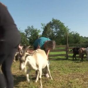 Снимка: "Още от Бягство към победата": Кой е кръстил коза на бивше гадже?
