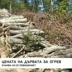 Снимка: Все по-малко домакинства у нас се отопляват на дърва