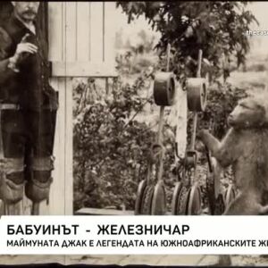 Снимка: Бабуинът железничар