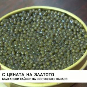 Снимка: България се оказва един от най-големите производители на луксозния черен хайвер