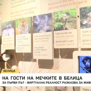 Снимка: На гости на мечките в Белица