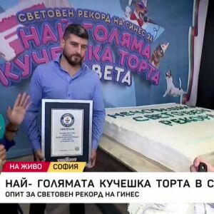 Снимка: Опит за най-голямата кучешка торта в света