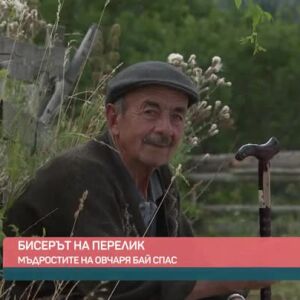 Снимка: „София не е България“: Мъдрост от родопския овчар от село Стикъл Бай Спас