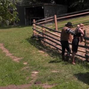 Снимка: Фермерите са пропуснали да изпълнят цяла задача