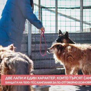 Снимка: Бандата на 1500-те с кампания за по-отговорно осиновяване на животни