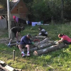 Снимка: Във фермата се поражда напрежение