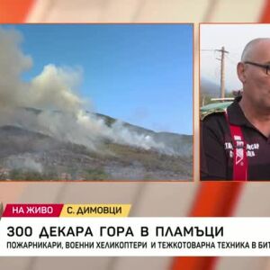 Снимка: Пожарът край Димовци се разраства