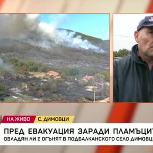 Снимка: Спасителен дъжд над пожара в село Димовци