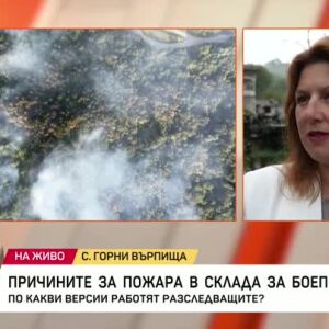 Снимка: По какви версии работят разследващите на пожара в склада за боеприпаси?