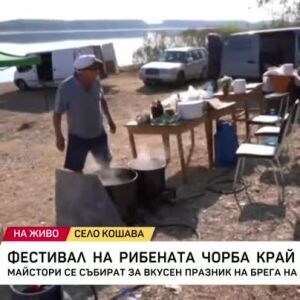 Снимка: Фестивал на рибената чорба на брега на Дунав