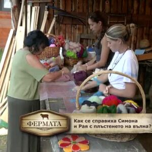 Снимка: Как се справиха Симона и Рая с плъстенето на вълна?