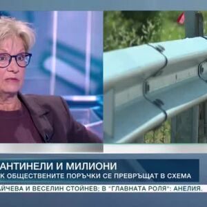 Снимка: Мантинели и милиони: Как обществените поръчки се превръщат в схема