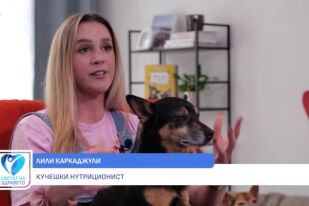 Снимка Лили Каркаджули: Важно е при избора на меню за кучето да се консултираме със специалист (ВИДЕО)