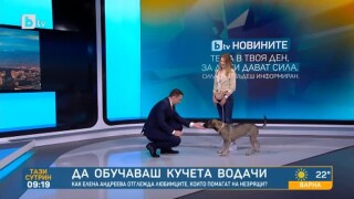 Среща с Елена Андреева, която дресира кучета и помага на незрящи