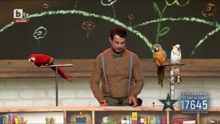 Калоян Явашев представя невероятните умения на своите папагали