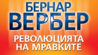 "Революцията на мравките" - за какво можем да завиждаме на мравките? А те на нас?