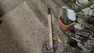 Снимка: Нападнаха и пребиха семейство в дома им в Камено поле: Баща и син са в болница