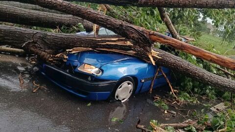 Снимка: „Живея втори живот“: Дърво се стовари върху колата на мъж, той оцеля по чудо (СНИМКИ)