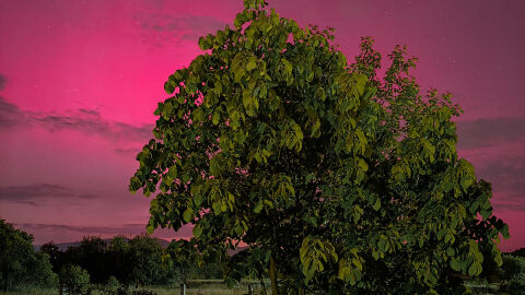 Снимка: Полярно сияние над България: Защо небето се обагри във вишнево-виолетови краски?