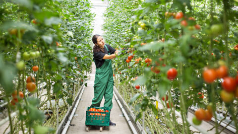 Снимка: На работа в Германия: За какво да внимават сезонните работници?