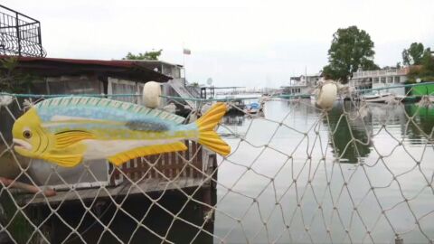 Снимка: Хищна риба в Черно море: Опасна ли е тя за риболова? 