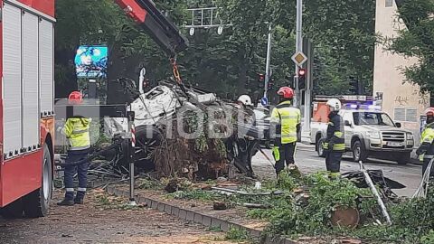 Снимка: Тежката катастрофа в Пловдив: Починалият шофьор има 16 нарушения за три години