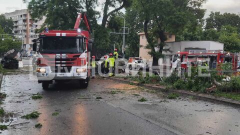 Снимка: С висока скорост: С колко се е движил автомобилът, причинил тежката катастрофа в Пловдив?