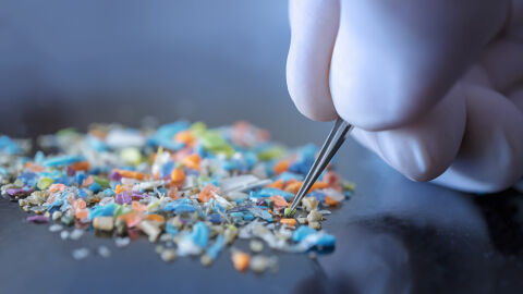 Снимка: Проучване: Открита е микропластмаса в човешкия тестис