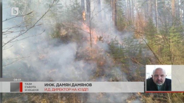Снимка: 500 декара гора са изпепелени
