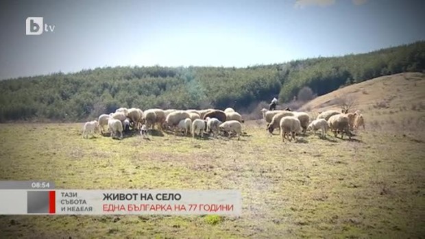 Снимка: Живот на село