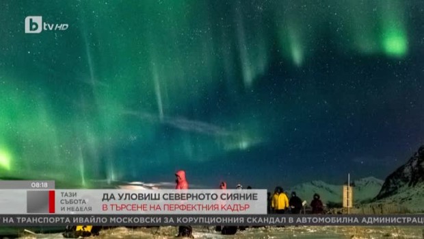 Снимка: В търсене на перфектния кадър