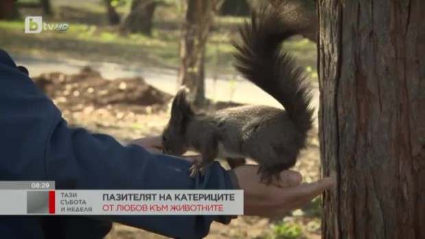 Снимка: Пазителят на катериците