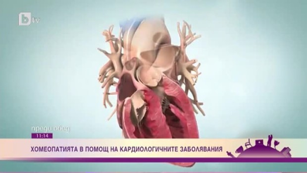 Снимка: Могат ли природните средства да повлияят кардиологичните заболявания?