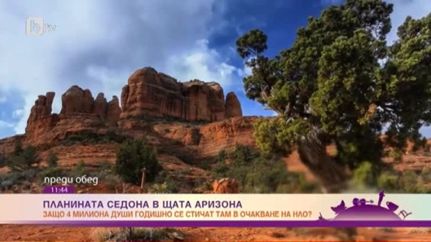 Снимка: Защо в град Седона, намиращ се на 120 километра от Финикс, всяка година се стичат...
