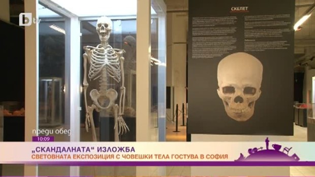 Снимка: Скандалната експозиция с човешки тела може да се разгледа в София