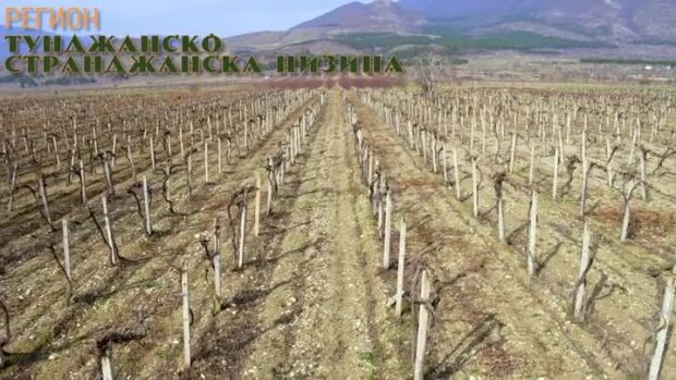 Снимка: Още от "Вкусът на България": Тунджанско-Странджанска низина