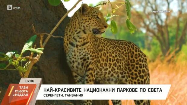 Снимка: Кои са най-красивите национални паркове в света?