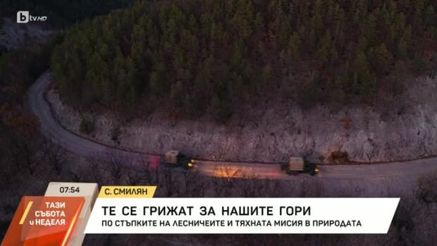 Снимка: Грижата за нашите гори