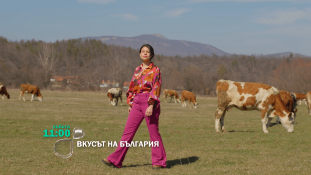 Снимка: „Вкусът на България“ продължава пътешествието из белоградчишкия край – тази събота...
