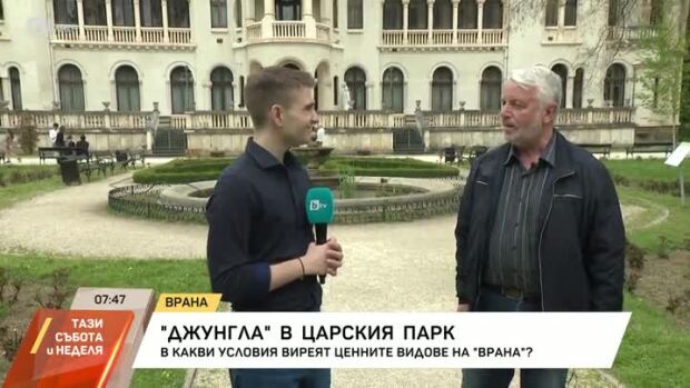 Снимка: "Джунгла" в царския парк