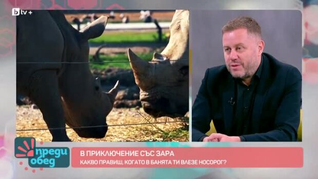 Снимка: В приключение със Зара: Какво правиш, когато в банята ти влезе носорог?