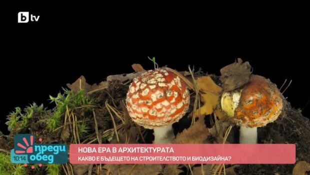 Снимка: Какво представлява биодизайнът?