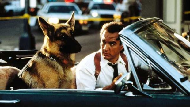 Снимка: K-9: Частен детектив