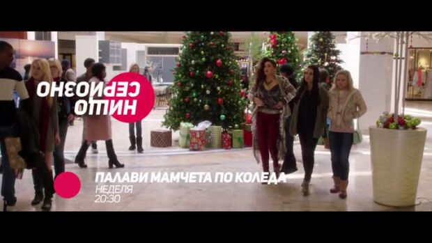Снимка: Гледайте в неделя от 20:30 ч. филма "Палави мамчета по Коледа" по bTV Comedy