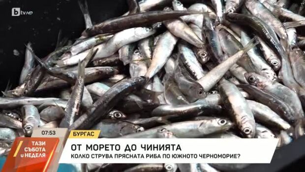 Снимка: От морето до чинията
