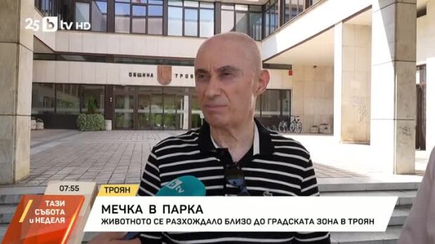 Снимка: Мечка в парка