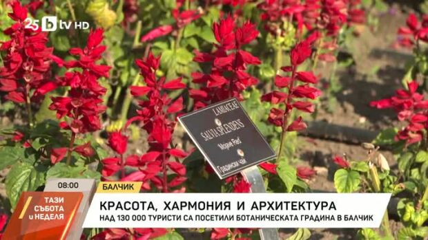 Снимка: Над 130 000 туристи са посетили Ботаническата градина в Балчик