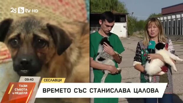 Снимка: Времето със Станислава Цалова